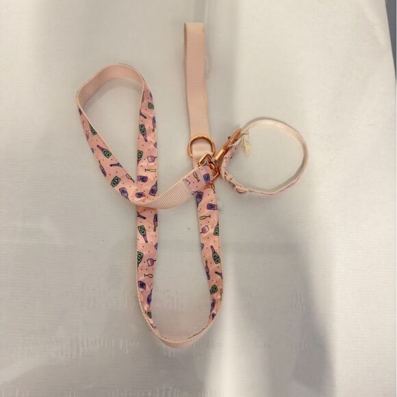Top Paw Champagne Dog collar XS and Leash set 4 Ft - Picture 1 of 5